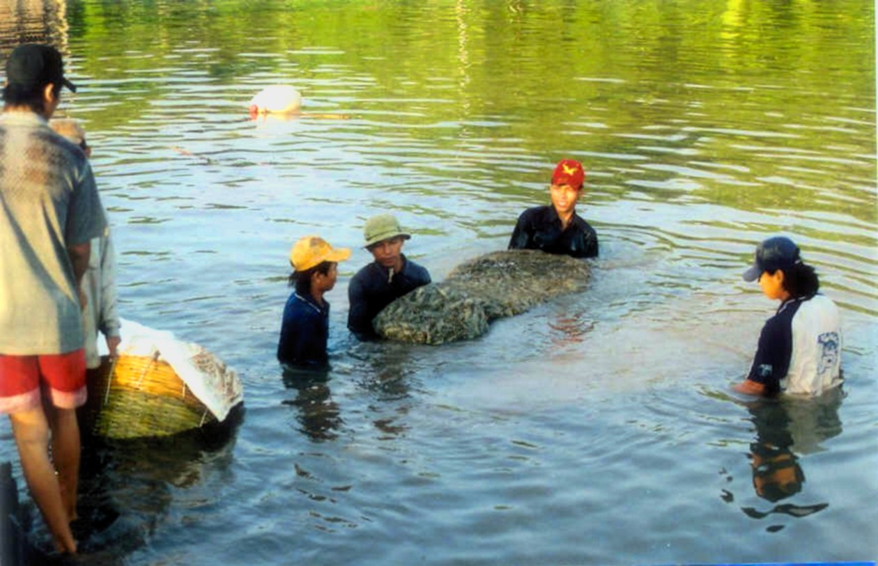 Việt Nam đứng thứ 3 thế giới về sản xuất tôm và có nhiều tiềm năng để tiếp tục phát triển mạnh nghề này (ảnh chụp tại xã Phú Tân, huyện Tân Phú Đông, TG)